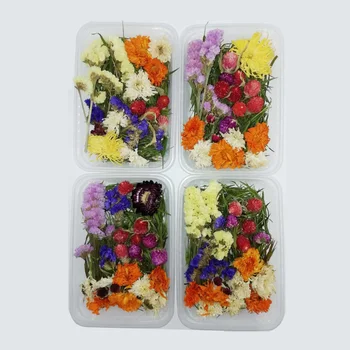 1 Polje 30 g Posušenih Cvetov Pravi Suhe Rastline Pritisnete Cvetje Za Aromaterapijo Svečo, zaradi Česar Obrti DIY Dodatki