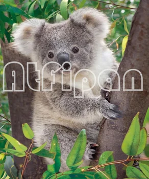 5d Polno SquareRound Diamond Vezenje Srčkan Koala na Drevo Diamond Slikarstvo Navzkrižno Šiv Diy Diamond Slikarstvo Hobi Mozaik