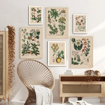 Vintage Botanični Zelišča Plakate in grafike Doma Stenski Dekor , Starinsko Rastlin Botanika Wall Art Platno Barvanje Slike za Kuhinjo
