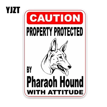 YJZT 10*14.2 CM Lastnina Zaščitena Z Faraon Hound Dog Ustvarjalni Modni PVC Materiala Avto Nalepke C1-4755